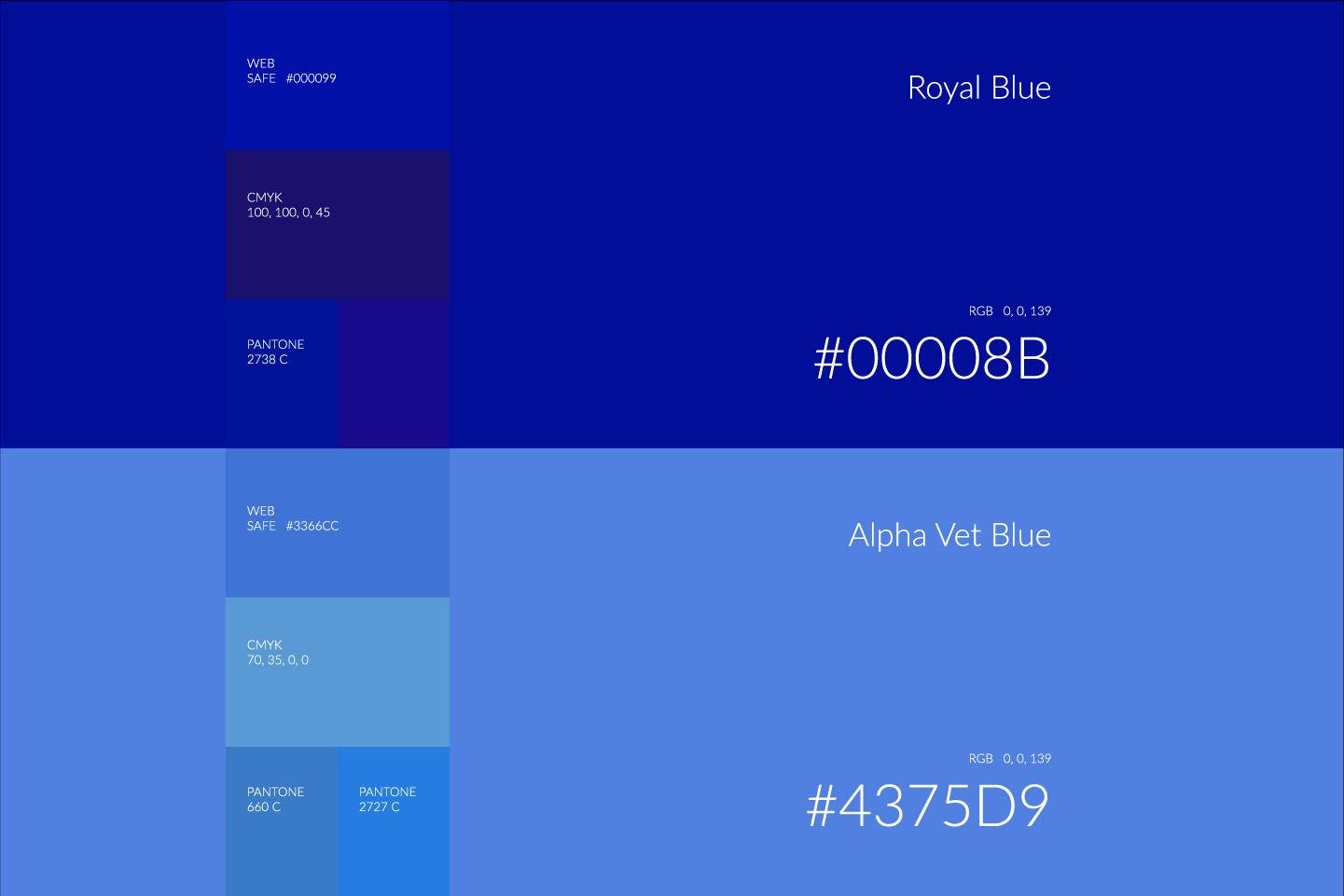 Alpha Vet Clinic brand colour palette 2 – Dubai veterinary branding design