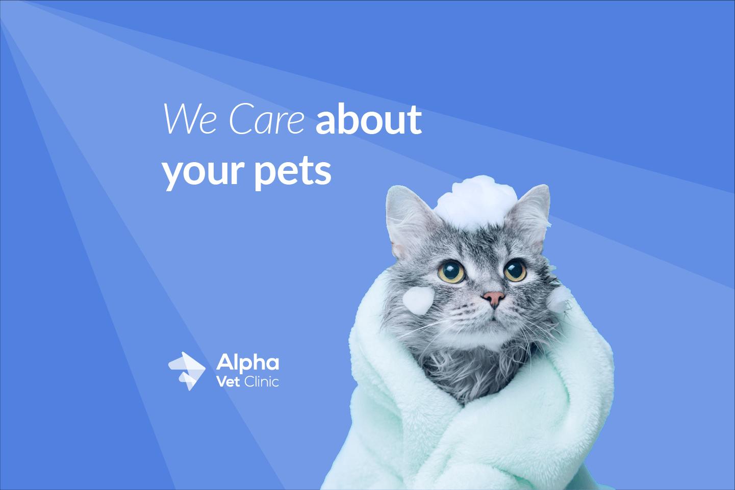 We care about your pets slogan