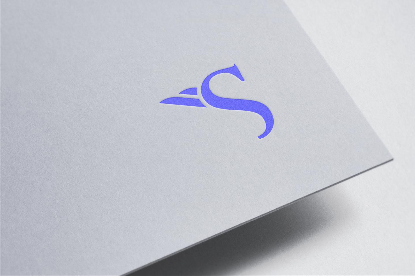 The Software Firm Logo on Paper Texture
